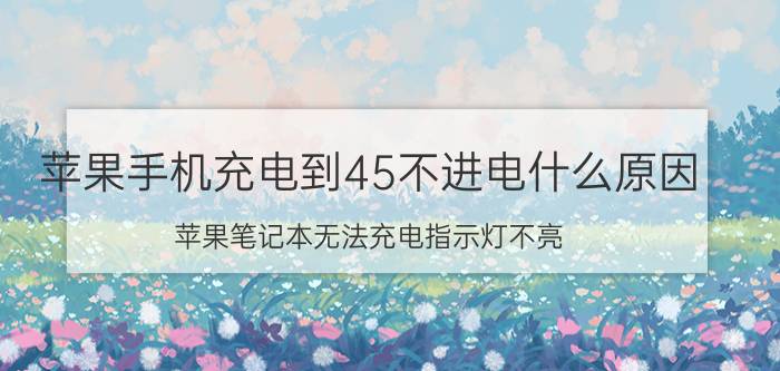 苹果手机充电到45不进电什么原因 苹果笔记本无法充电指示灯不亮？